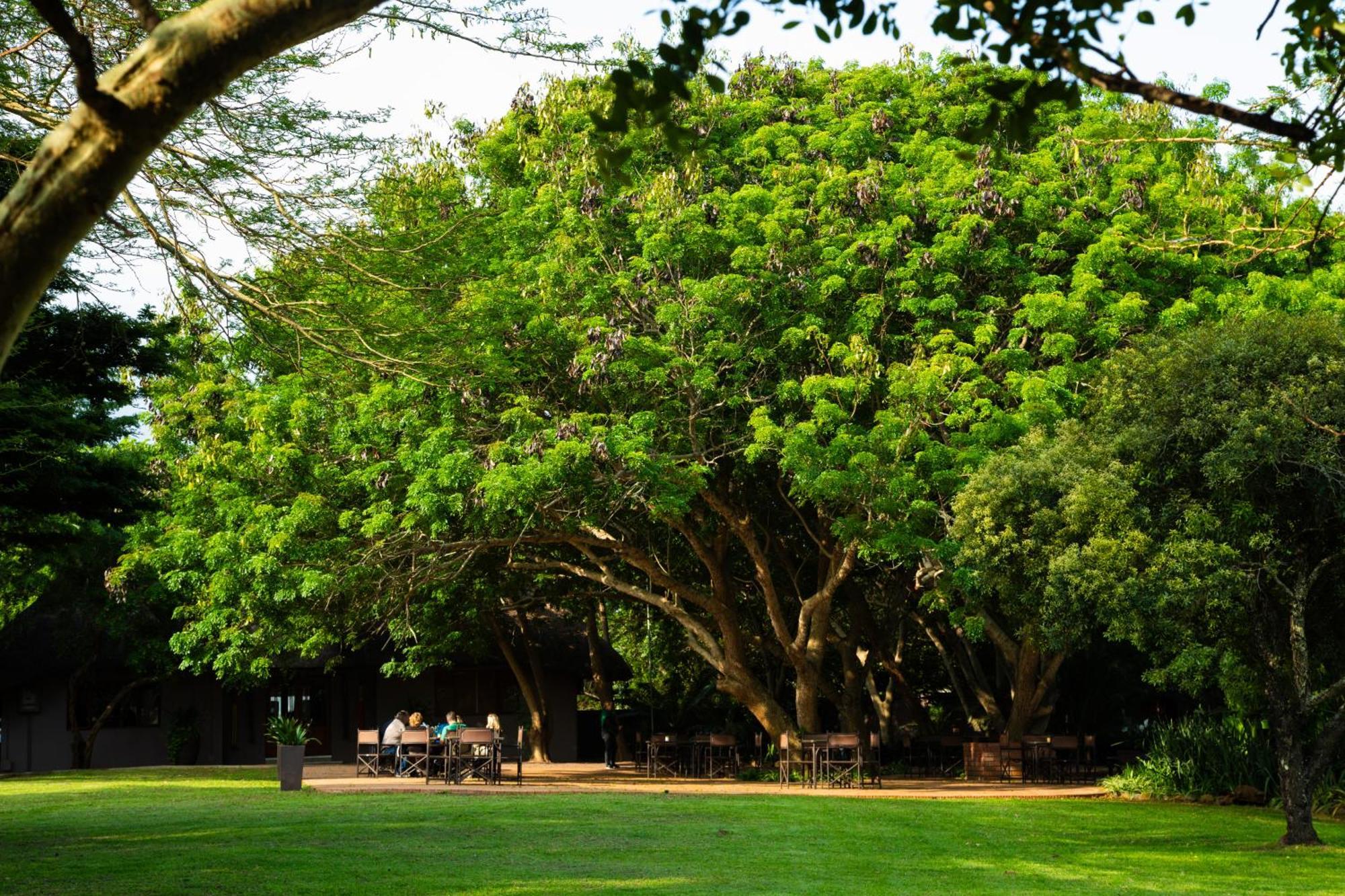 Falaza Game Park And Spa Hluhluwe Dış mekan fotoğraf